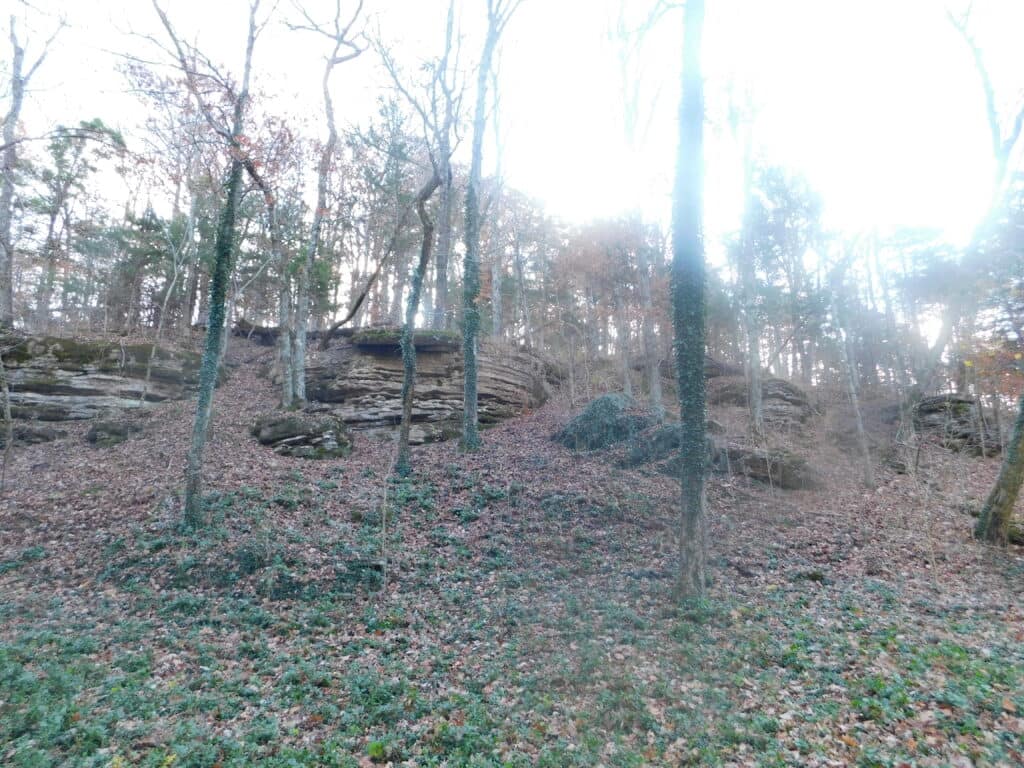 DSCN0038