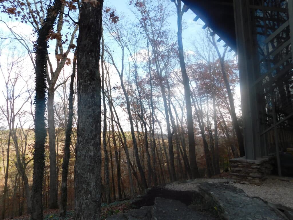 DSCN0040