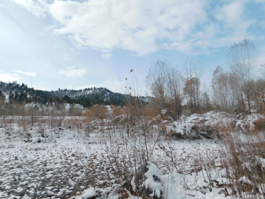 DSCN0150